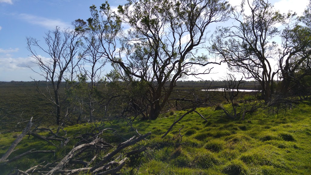 Rhyll Inlet State Wildlife Reserve | Mcilwraith Rd, Rhyll VIC 3923, Australia | Phone: 1300 366 422