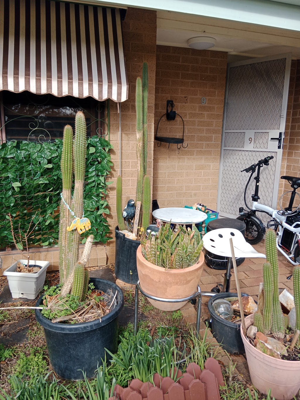 CITAS CHAIR | 26 Crespigny St, Talbot VIC 3371, Australia | Phone: 0460 892 347