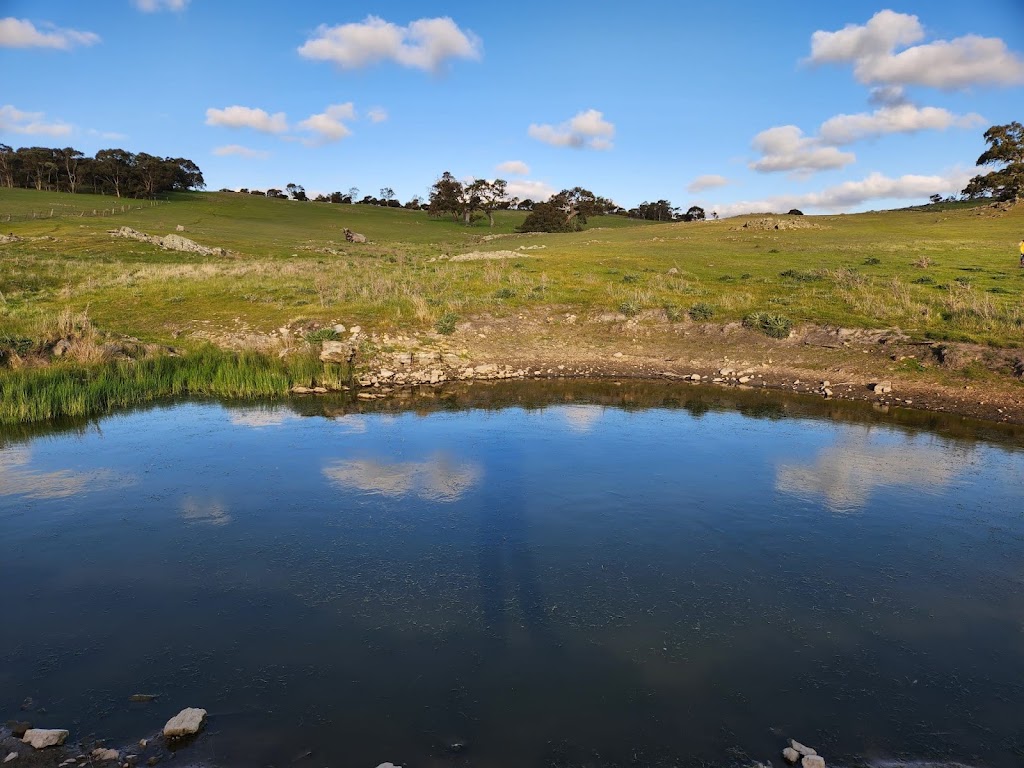 Ridgestone Retreat | Brinkworth Rd, Tungkillo SA 5236, Australia | Phone: 0437 654 453