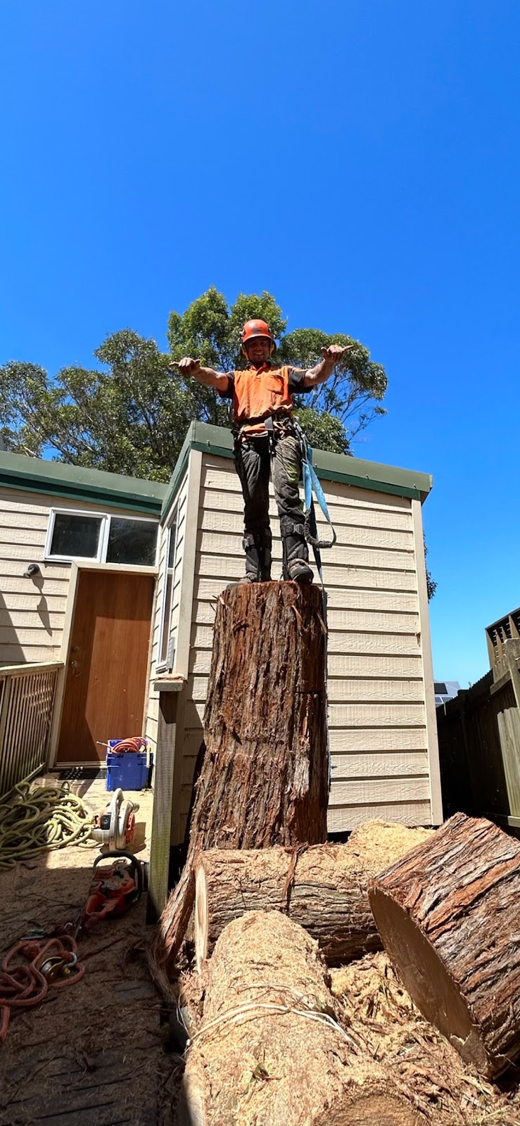 Coastal Trees | 94 Aloha Dr, Chittaway Bay NSW 2261, Australia | Phone: 0402 661 491