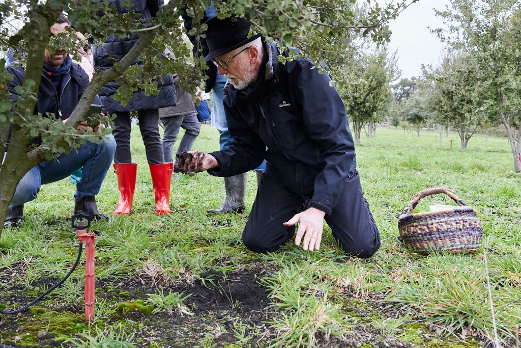 Truffle Paddock Farm | food | 432 Grantville-Glen Alvie Rd, Grantville VIC 3984, Australia | 0408176617 OR +61 408 176 617