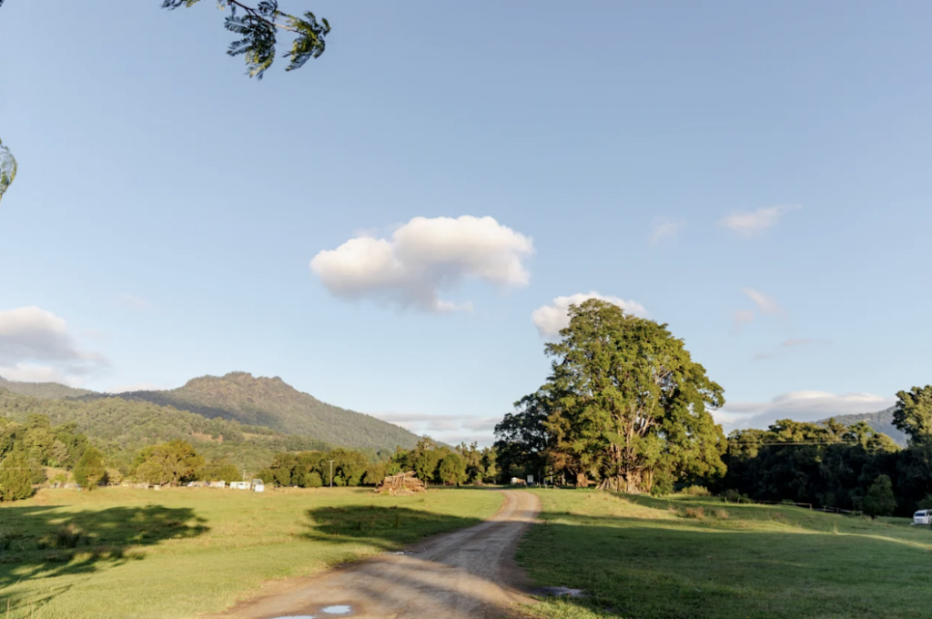 McKenzies Mountain | 675 Tyalgum Rd, Eungella NSW 2484, Australia | Phone: 0414 488 606