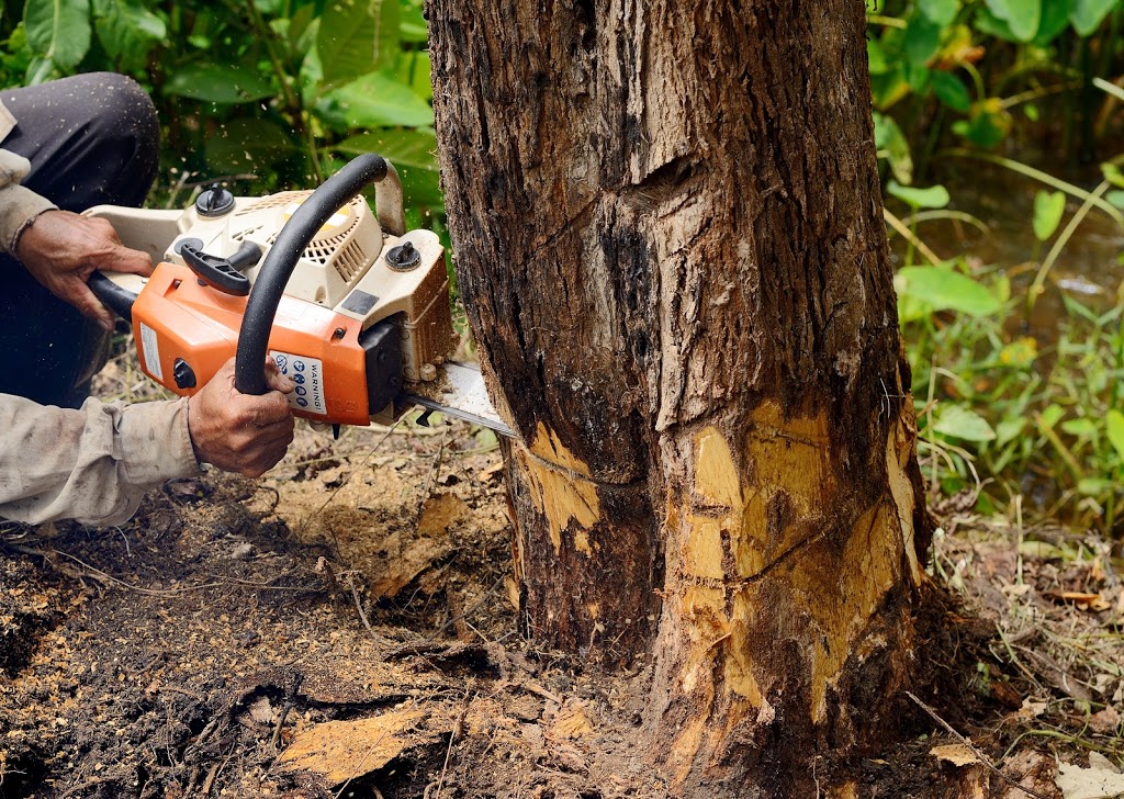 Tree Removal Londonderry ✅ |  | Tree Lopping, Tree Trimming, Land Clearing, Arborist, Londonderry NSW 2753, Australia | 0480024711 OR +61 480 024 711
