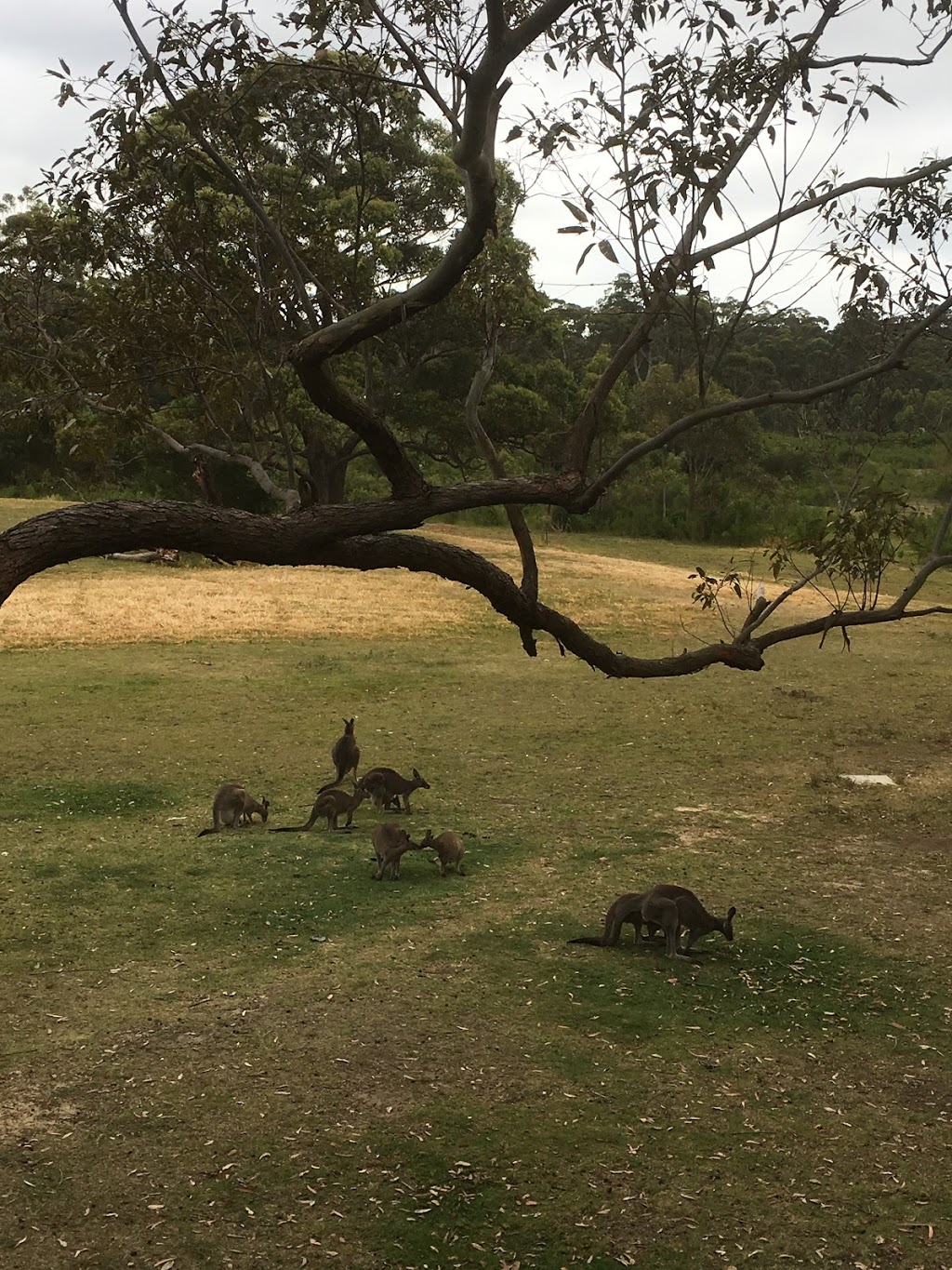 Bay & Basin Community Resources | 16 Sanctuary Point Rd, Sanctuary Point NSW 2540, Australia | Phone: (02) 4443 3434