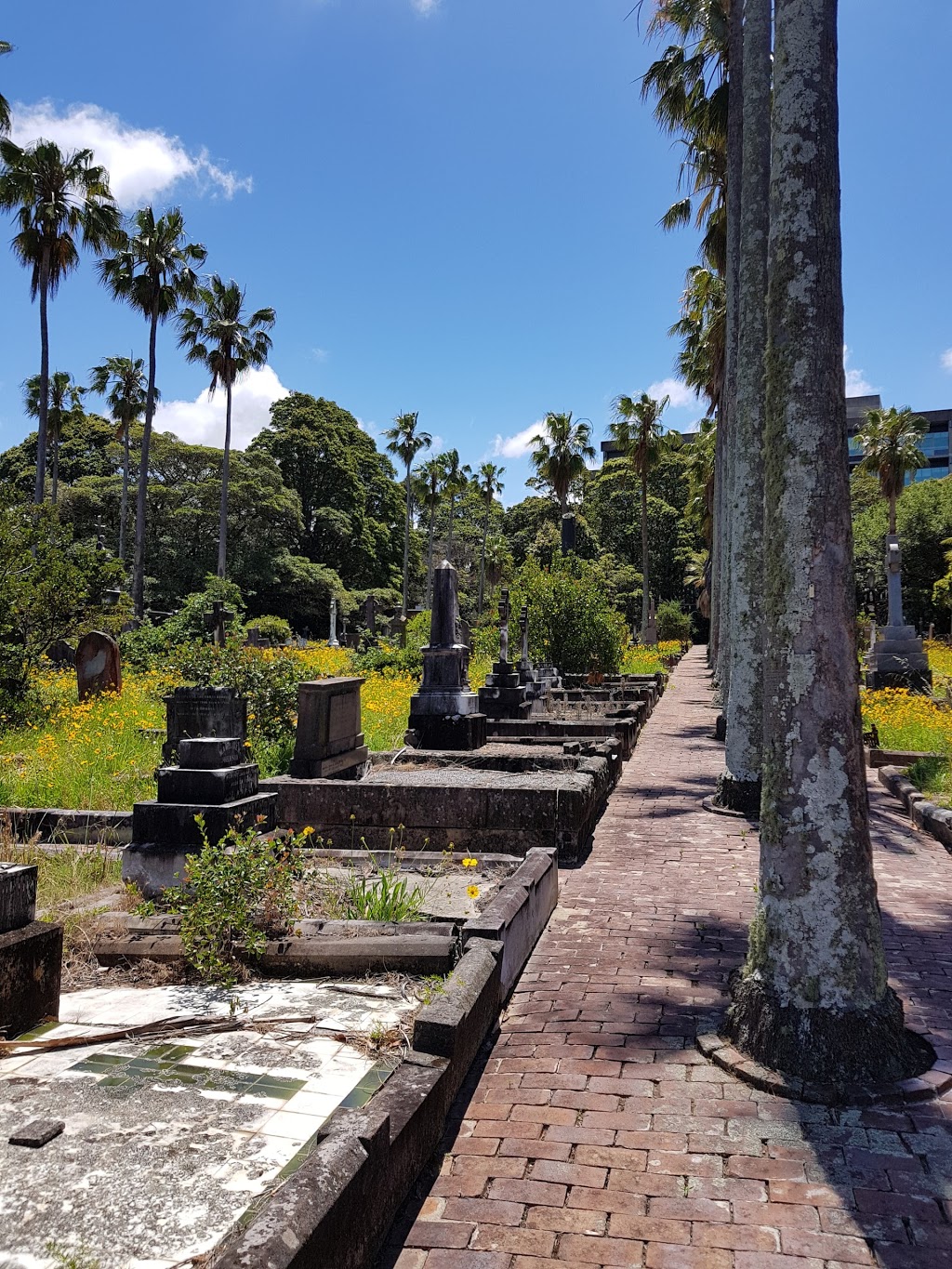 Gore Hill Cemetery | cemetery | Pacific Hwy, St Leonards NSW 2065, Australia | 0298050499 OR +61 2 9805 0499
