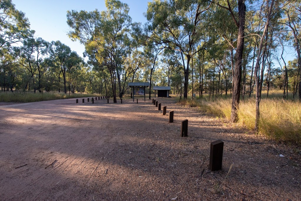 Auburn River Camping Area | LOT 5 Auburn Falls Rd, Dykehead QLD 4626, Australia | Phone: 13 74 68