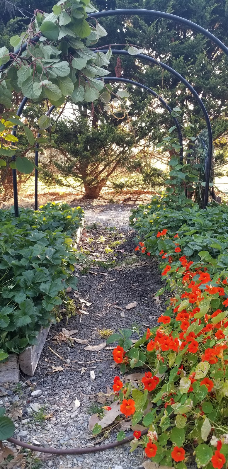 Red Bluff Coastal Reserve | Yanakie VIC 3960, Australia