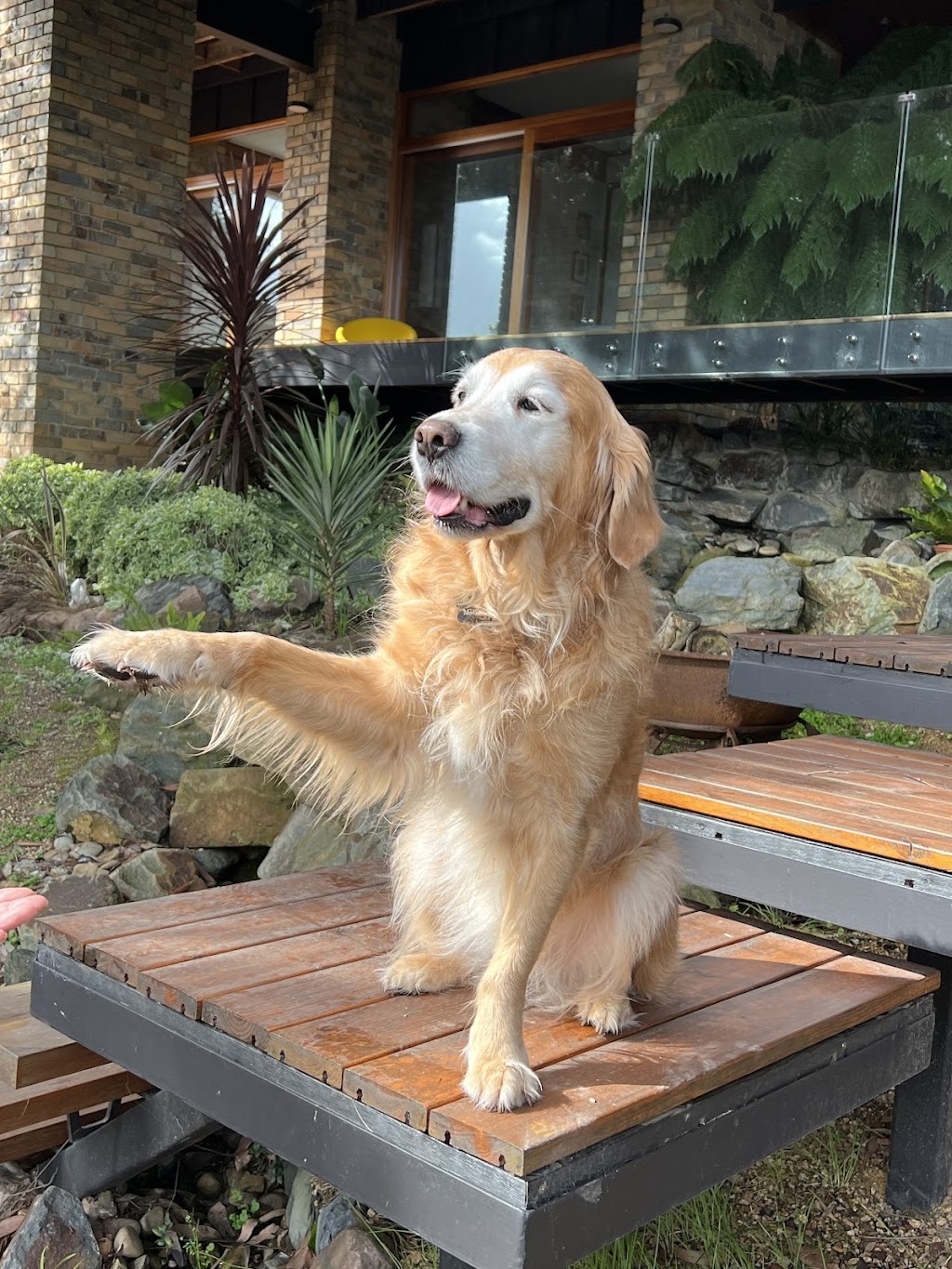 Peaceful Pets Cremations | 42 Commerce Pl, Koo Wee Rup VIC 3981, Australia | Phone: 0411 294 873
