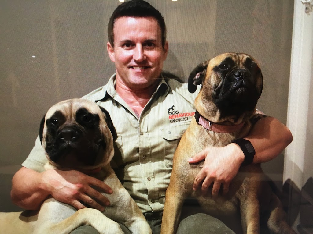 Dog Behaviour Specialist | 38 Solent Cct, Norwest NSW 2153, Australia | Phone: 0422 528 600