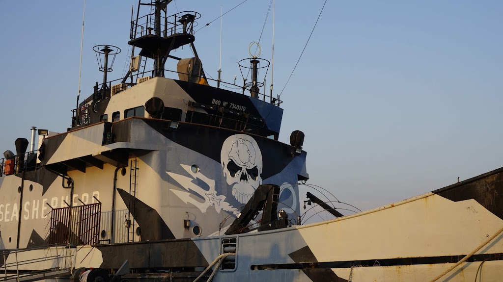 Sea Shepherd | 2 Ann St, Williamstown VIC 3016, Australia | Phone: 1300 623 267