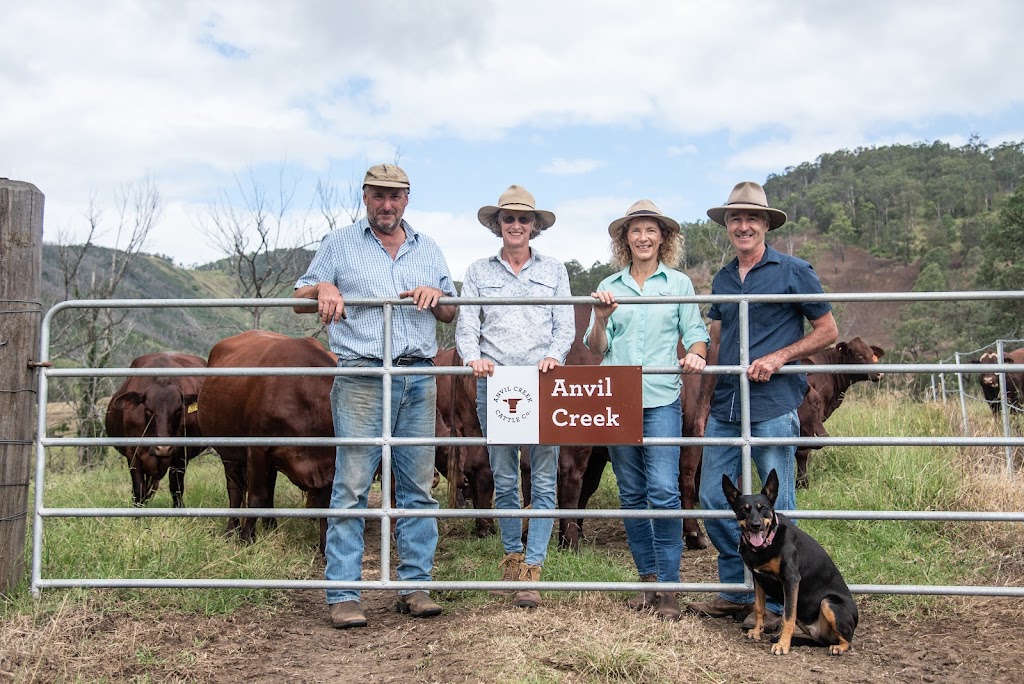 Anvil Creek Santa Gertrudis Stud | 7365 Oxley Hwy, Mount Seaview NSW 2446, Australia | Phone: 0474 125 977