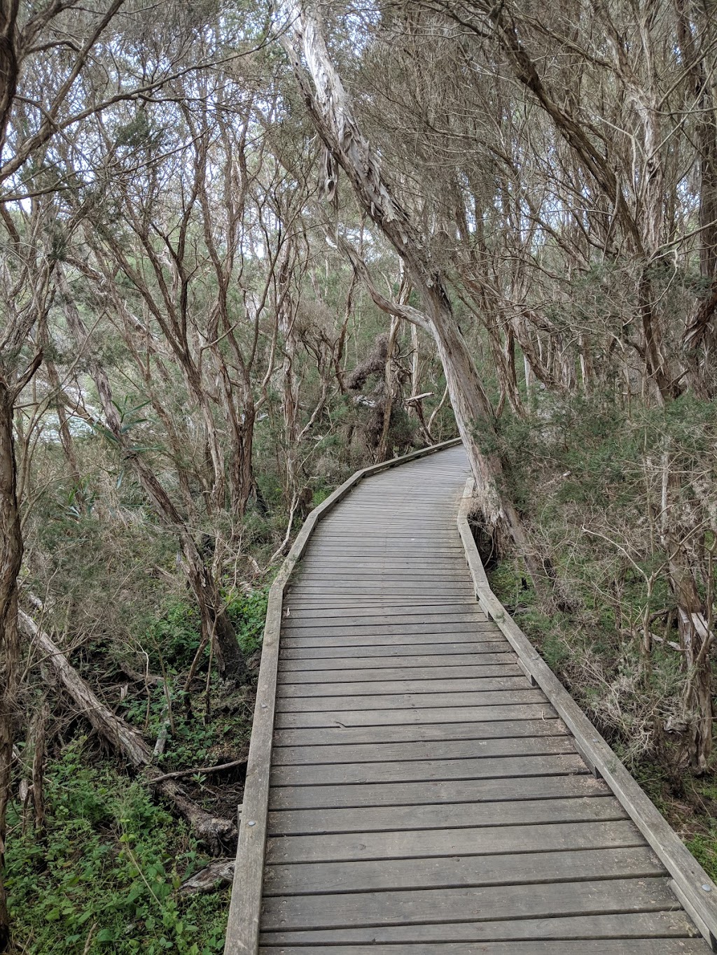 Balcombe Estuary Reserve | park | Mirang Ave, Mount Martha VIC 3934, Australia | 0447160288 OR +61 447 160 288