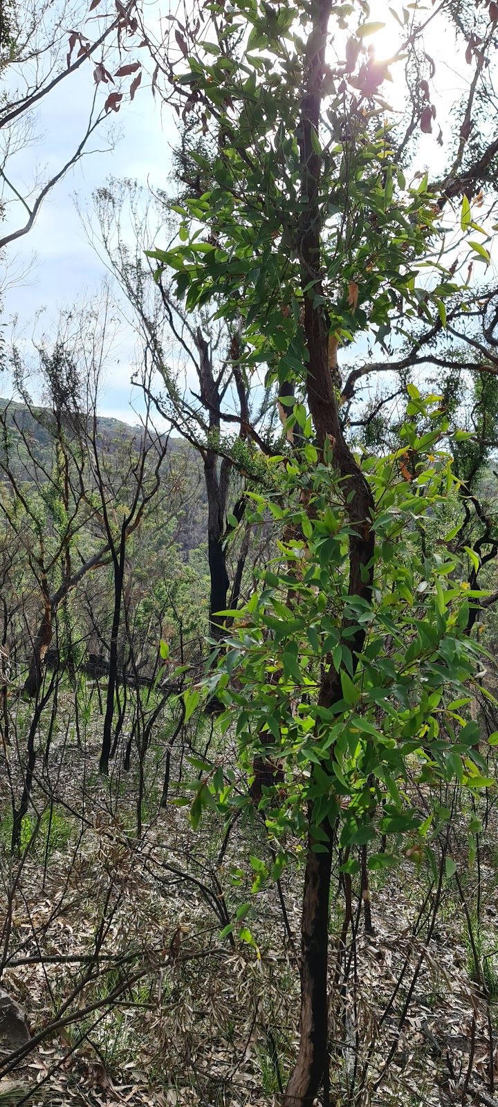 Echo Point Picnic Area | Lovers Walk Track, Bundanoon NSW 2578, Australia | Phone: (02) 4887 7270