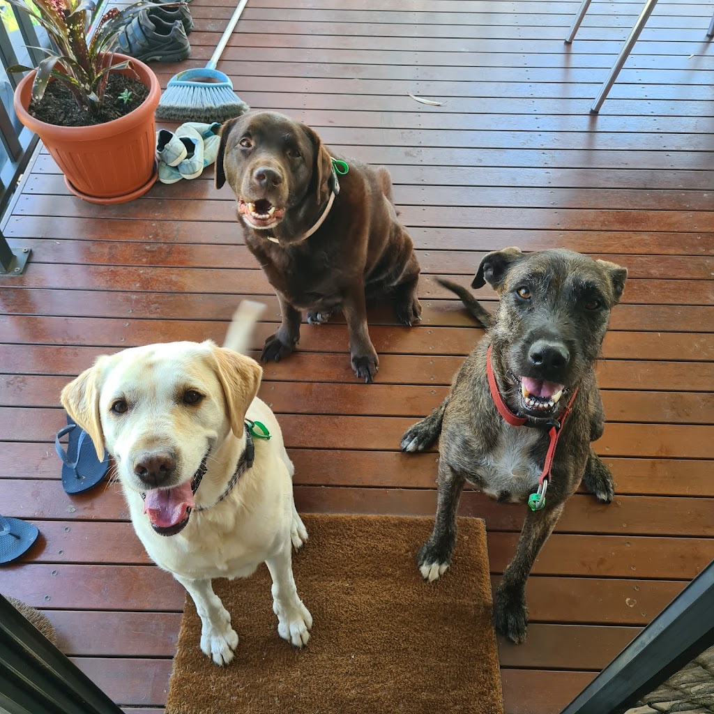 SWIFTII Pet Minding | 47 Minjerriba Rd, Russell Island QLD 4184, Australia | Phone: 0403 232 544