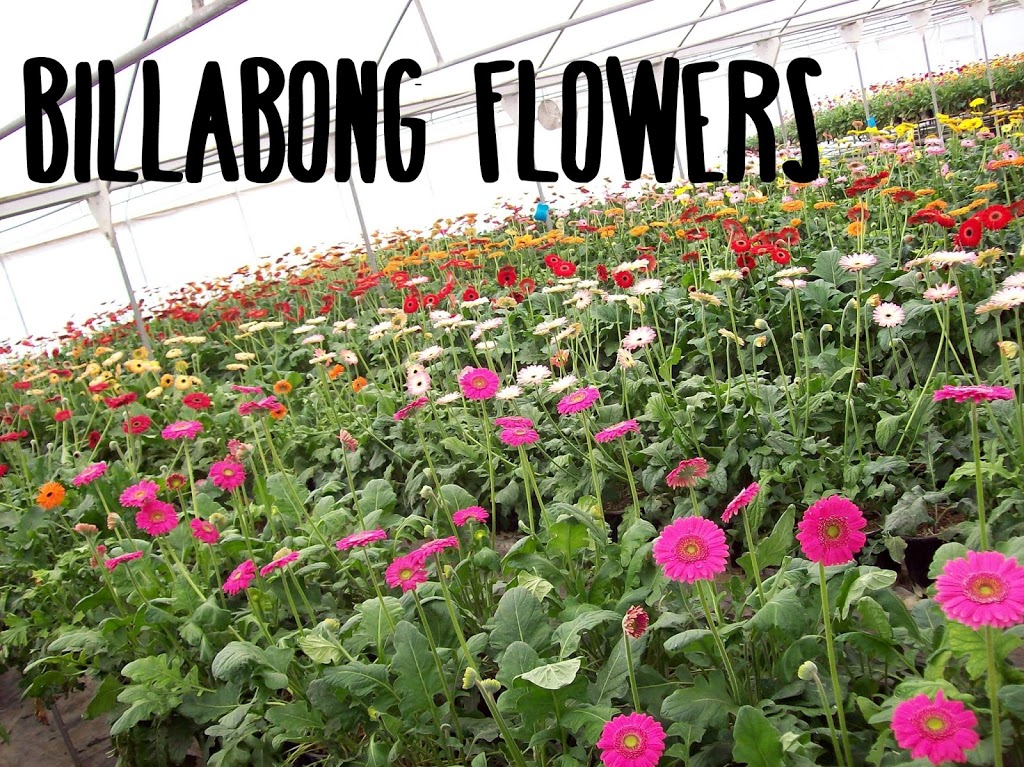Billabong Flowers |  | 275 Dennis Rd, Cedar Vale QLD 4285, Australia | 0431816032 OR +61 431 816 032