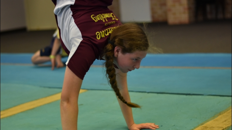 Riverstone School of Tumbling | health | Garfield Rd E & Hamilton St, Riverstone NSW 2765, Australia | 0296272532 OR +61 2 9627 2532