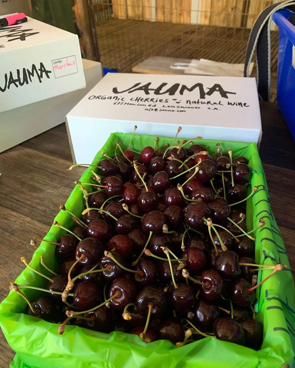 Jauma ORGANIC cherries | food | 677 Mawson Rd, Lenswood SA 5240, Australia | 0408075138 OR +61 408 075 138