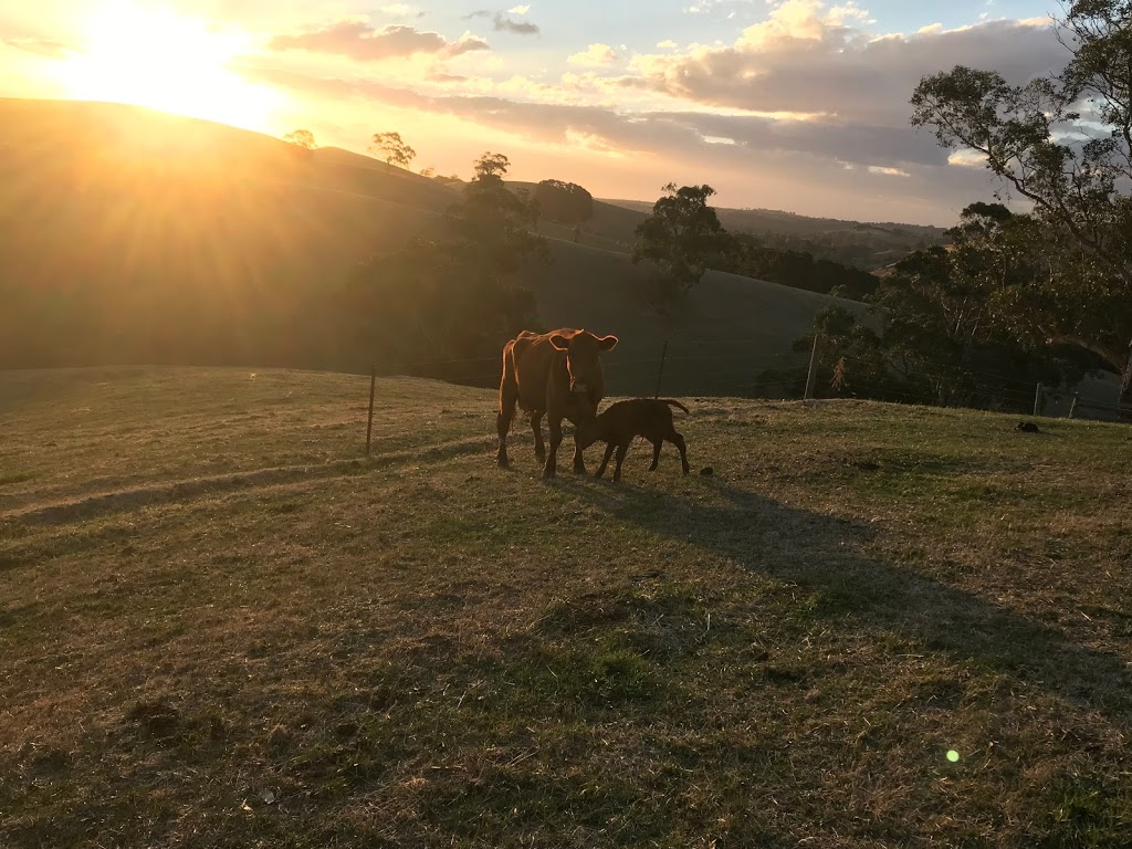 Glenbrae Farm | lodging | 70 Bingham Rd, Jeetho VIC 3945, Australia | 0356388614 OR +61 3 5638 8614