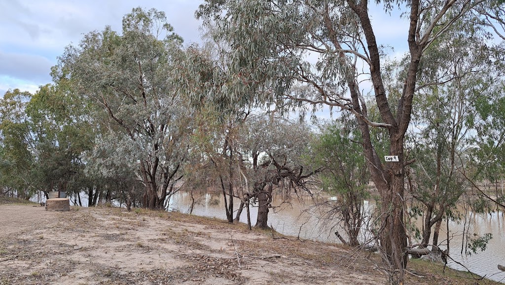Allambie’s Camp | 299 Janbeth Rd, Bourke NSW 2840, Australia | Phone: 0423 597 320