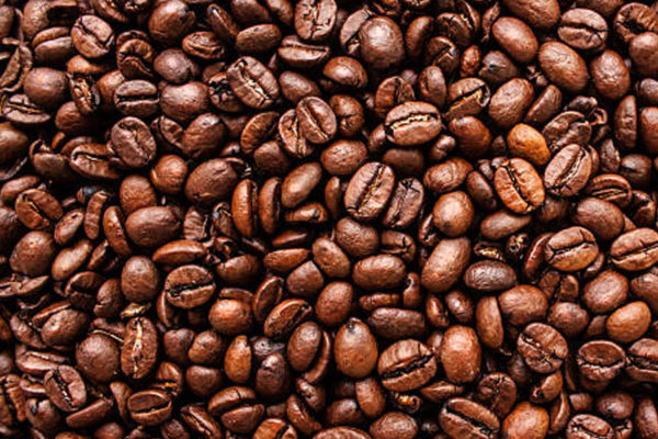 Coffee Masters of Australia | food | 18/57A Rhodes St, Hillsdale NSW 2036, Australia | 0289714879 OR +61 2 8971 4879