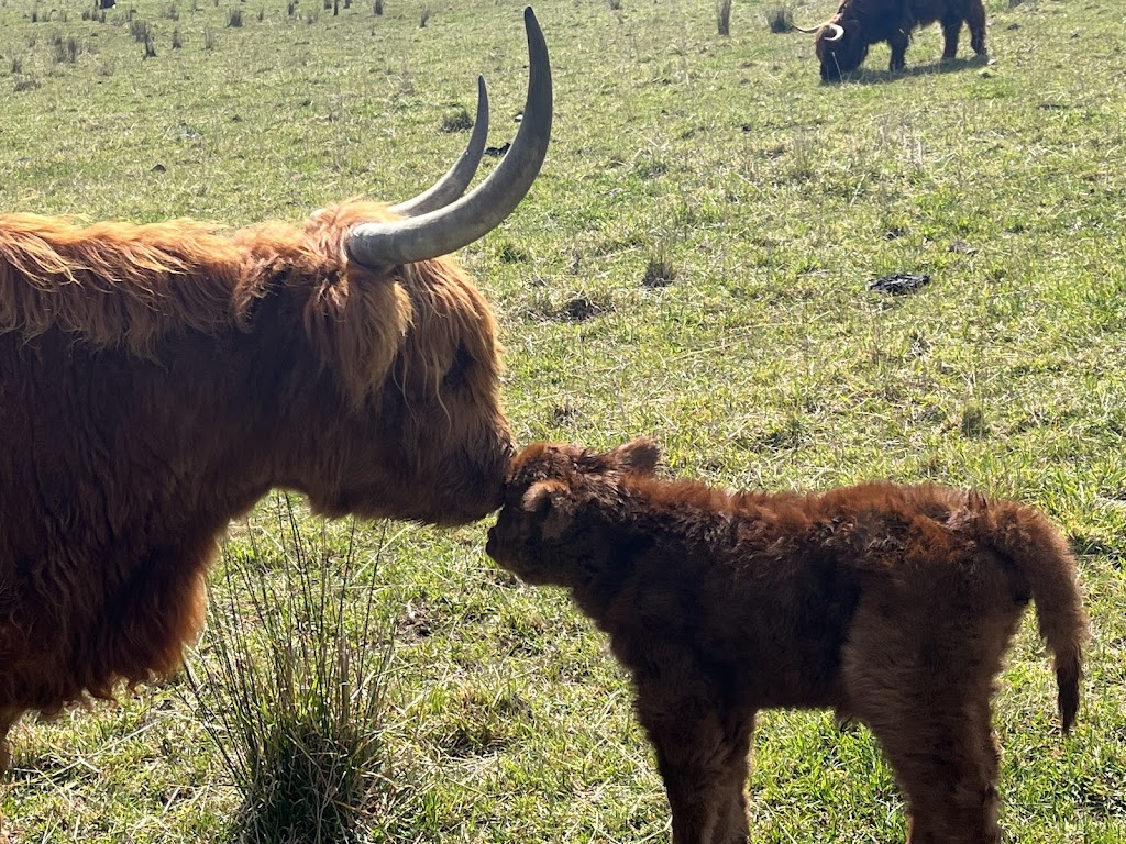 Minard Farm | 135 Richards Ln, Joadja NSW 2575, Australia | Phone: 0456 856 080