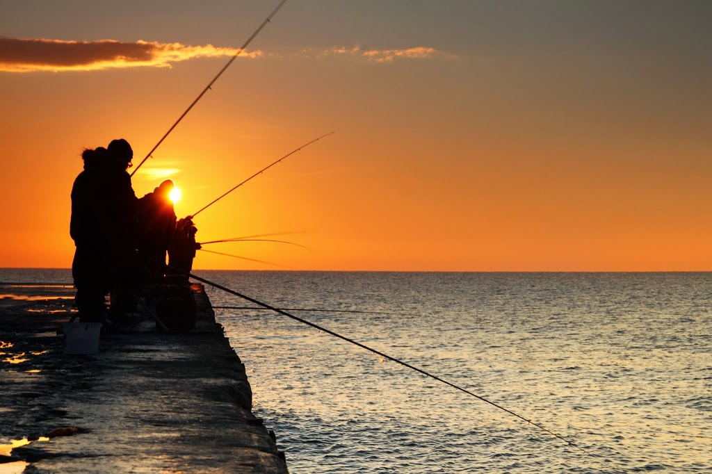 BCF (Boating Camping Fishing) Burleigh | store | 10/1 Santa Maria Ct, Burleigh Waters QLD 4220, Australia | 0755082922 OR +61 7 5508 2922