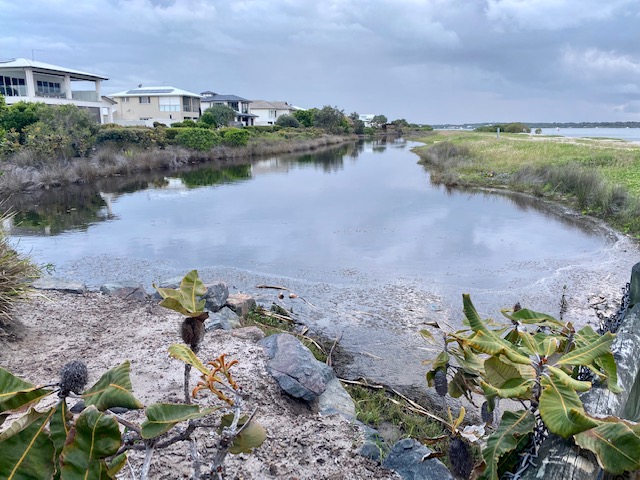 Madeleine Hicks Real Estate - Bribie Island | Bribie Island, 168 White Patch Esplanade, White Patch QLD 4507, Australia | Phone: (07) 3410 8793