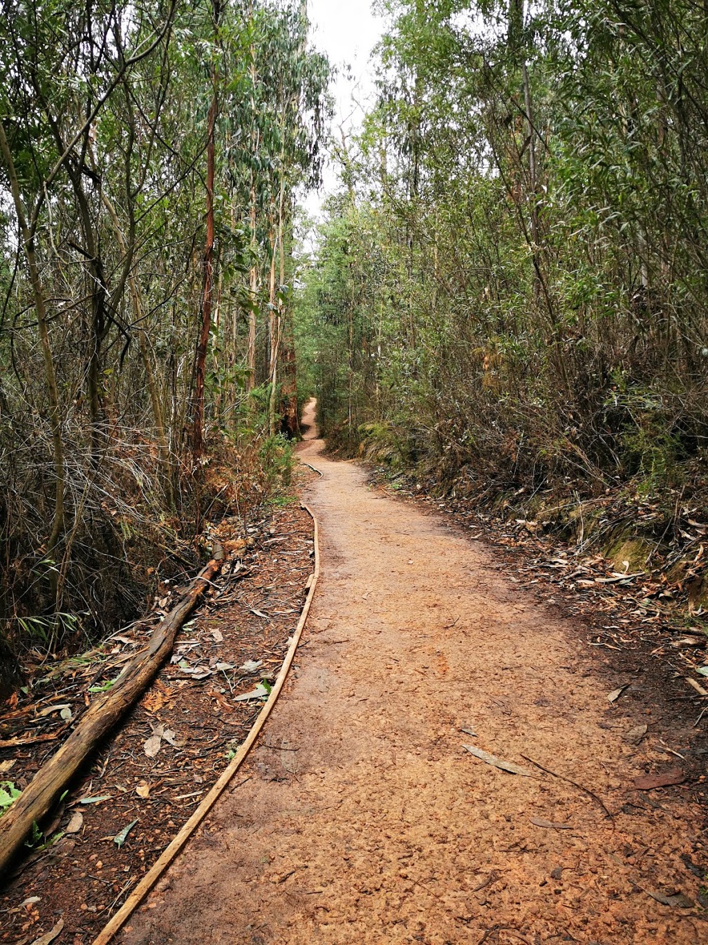 Masons Falls Observation Platform | Kinglake West VIC 3757, Australia | Phone: 13 19 63