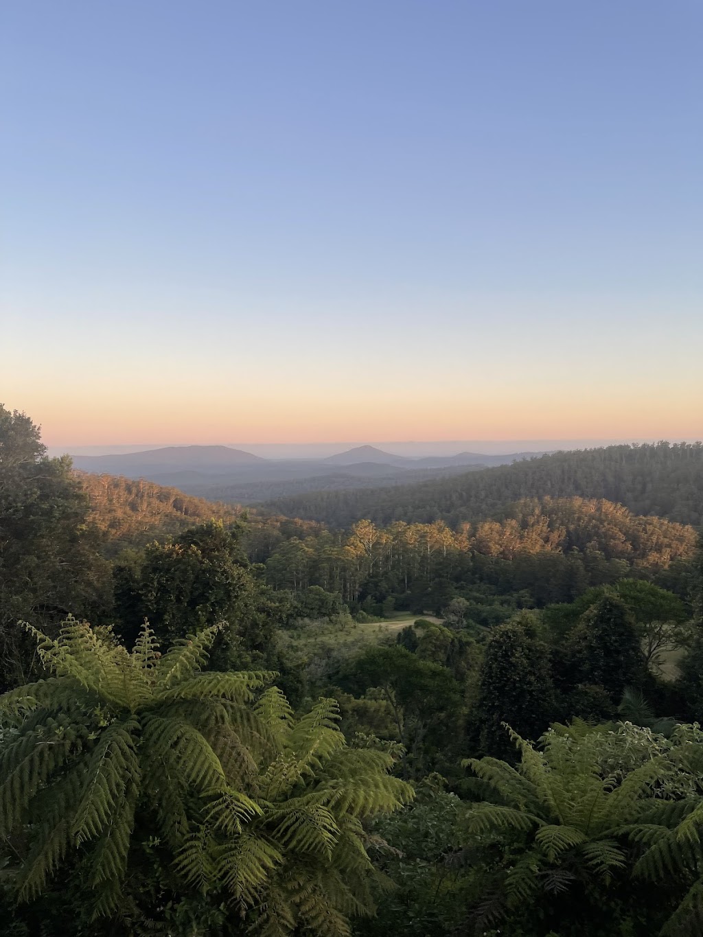 Comboyne Stays | 3985 Wingham Rd, Comboyne NSW 2429, Australia | Phone: 0427 341 937