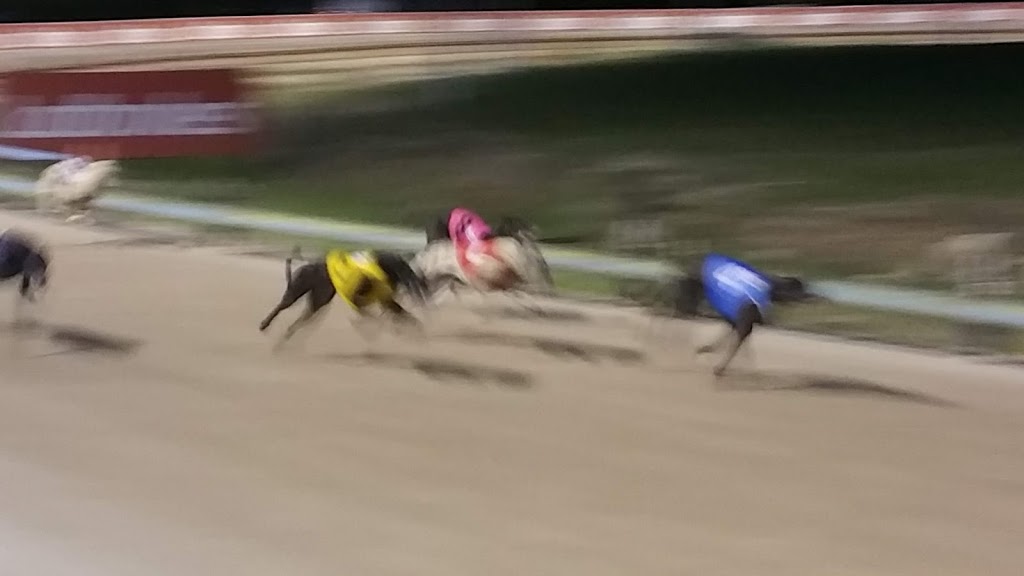 Shoalhaven Greyhound Racing Club | Shoalhaven Racing Complex Albatross Road Nowra NSW Australia 2541, Albatross Rd, South Nowra NSW 2541, Australia | Phone: (02) 4421 2332