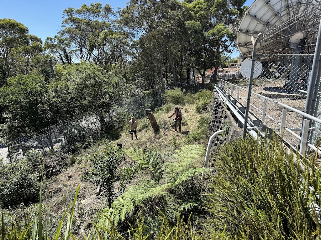 Waterhouse landscapes | 971 Pittwater Rd, Collaroy NSW 2097, Australia | Phone: 0469 789 914