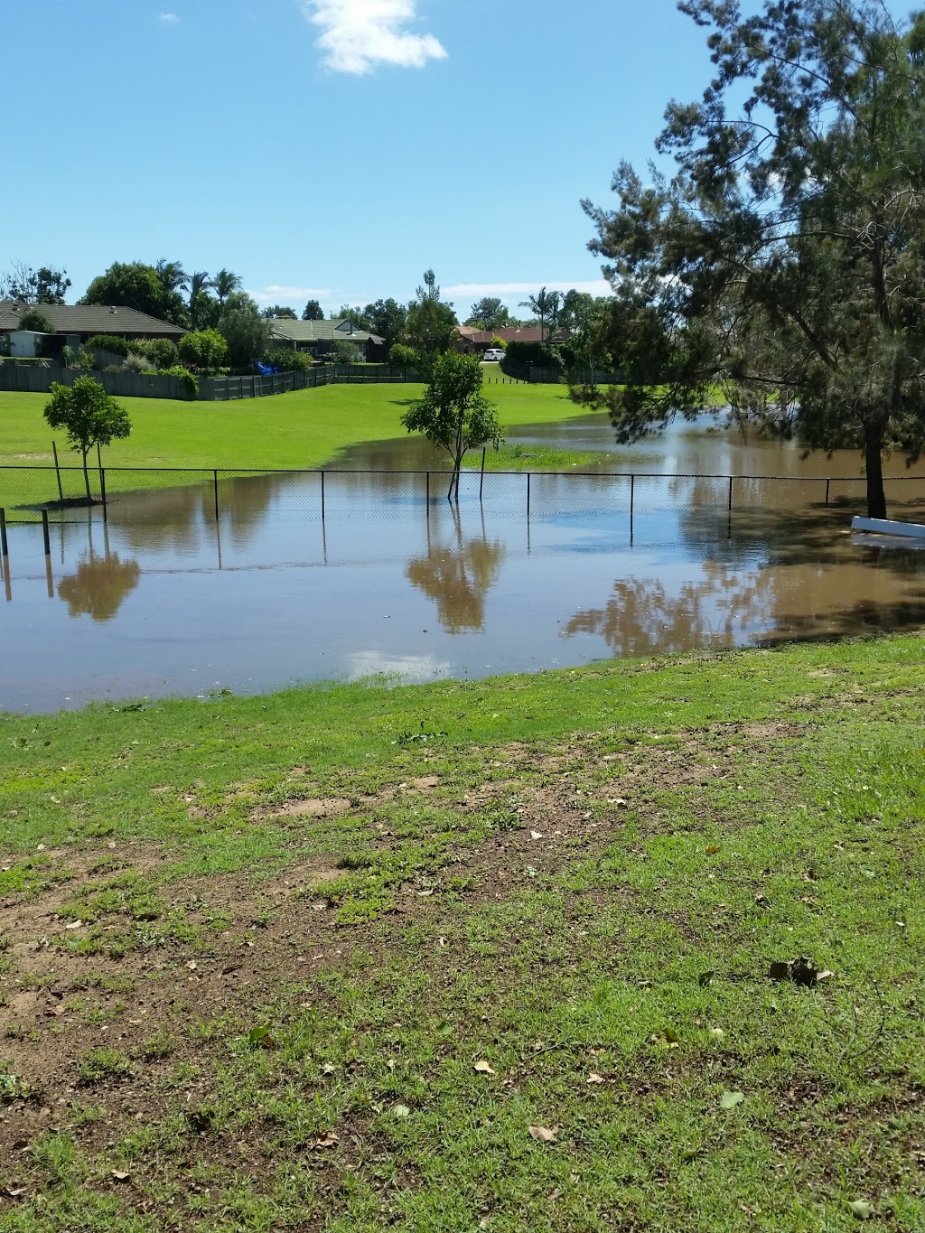 Alexander Clark Agility Dog Park | park | Dewar Dr, Loganholme QLD 4129, Australia | 1300156426 OR +61 1300 156 426