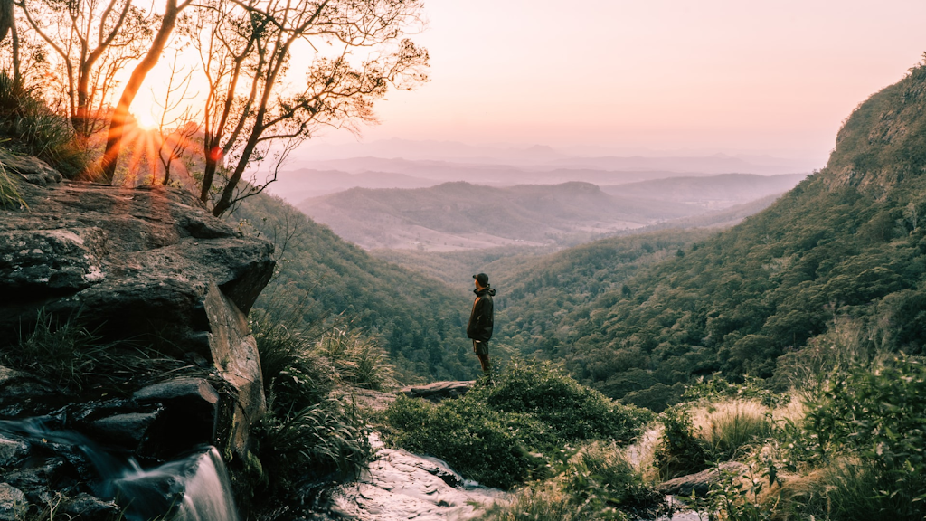 EcoView Retreat | 660 Trees Rd, Tallebudgera Valley QLD 4228, Australia | Phone: 0494 392 065