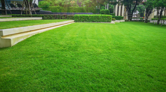 HM Lawns Gold Coast | Worongary Rd, Tallai QLD 4213, Australia | Phone: 0437 446 033
