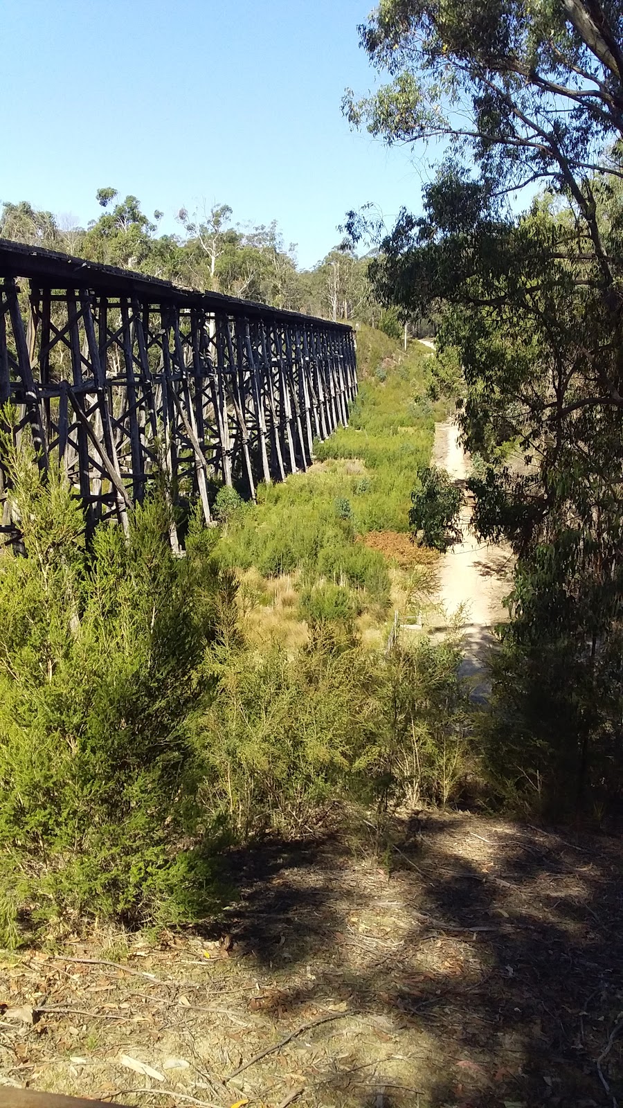 Stony Creek Trestle Bridge | museum | Nowa Nowa VIC 3887, Australia