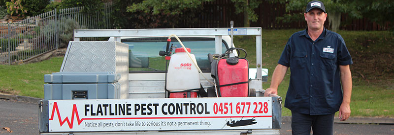 Flatline Pest Control Central Coast - best pest bird control ter | home goods store | 45 Barree Ave, Narara NSW 2250, Australia | 0451677228 OR +61 451 677 228