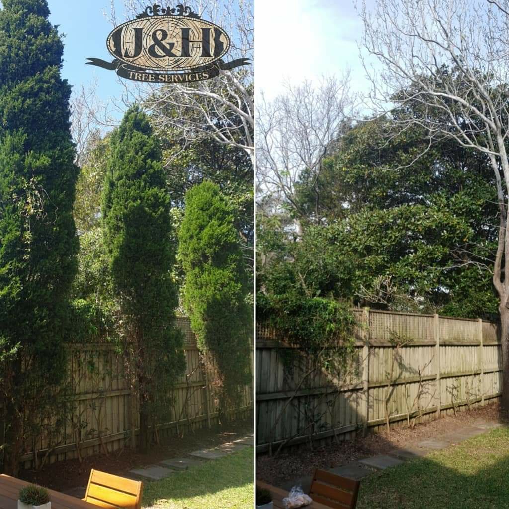 J & H Tree Services | 44 Oriole St, Glenmore Park NSW 2745, Australia | Phone: 0415 720 028