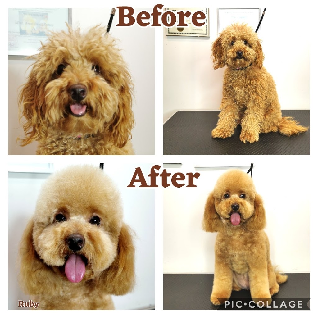 Anastasia’s dog grooming | 11 Hilda Rd, Baulkham Hills NSW 2153, Australia | Phone: 0404 974 407