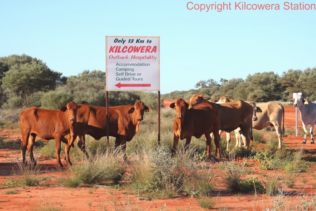 Kilcowera Station | Hungerford Road, Thargomindah QLD 4492, Australia | Phone: 0460 804 384