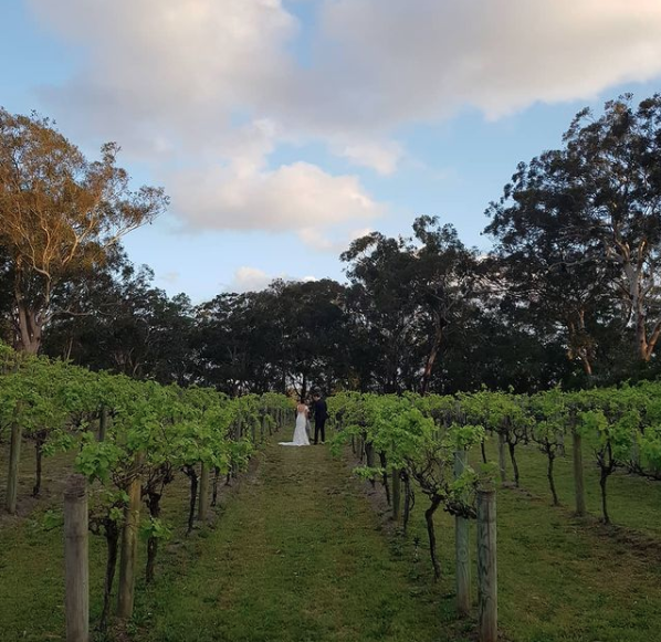 Sunset+Vine Restaurant & Venue Hire | Up the hill from Murrays Brewery, 3439a Nelson Bay Rd, Bobs Farm NSW 2316, Australia | Phone: 0435 720 588