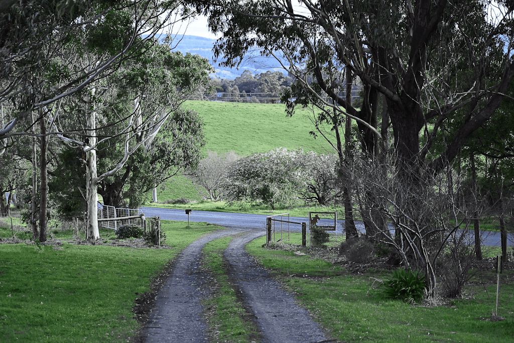 Free Rein Adventure | 310 Quarry Rd, Yallourn North VIC 3825, Australia | Phone: (03) 4137 8312