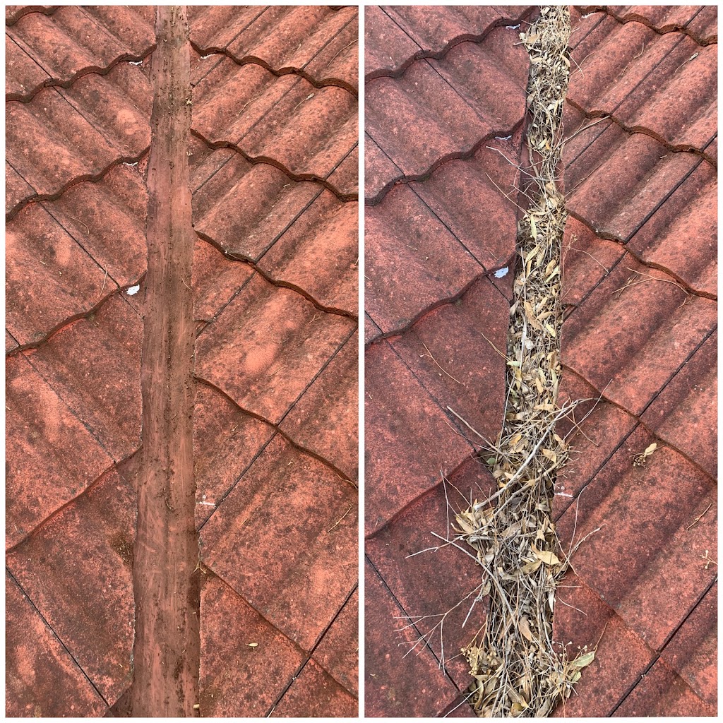 Golden Leaf Gutter Cleaning | 66 Victoria St, Malabar NSW 2036, Australia | Phone: 0402 714 996