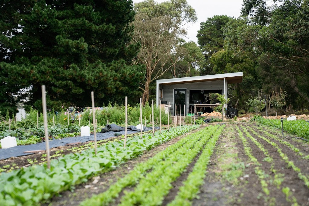 Bellagreen Organic Farm | 15 Basin Rd, Drysdale VIC 3222, Australia | Phone: 0409 352 223
