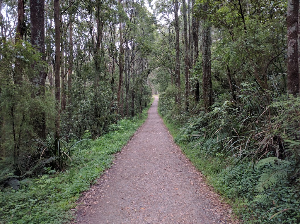 1000 Steps Carpark | Dandenong Ranges National Park, Mount Dandenong Tourist Rd, Ferny Creek VIC 3786, Australia | Phone: 13 19 63