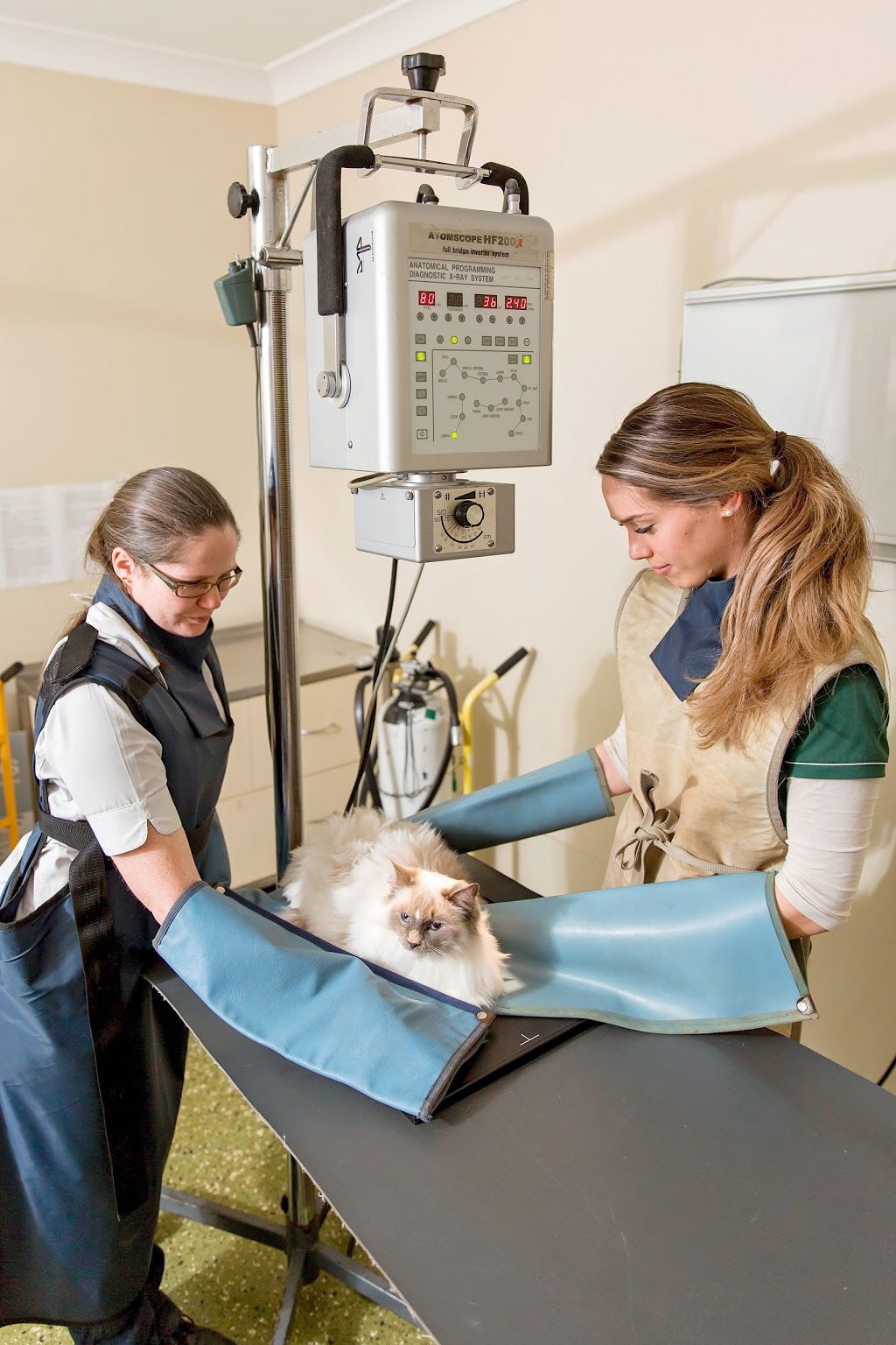 Tamborine Mountain Veterinary Surgery | veterinary care | 24 Main St, Tamborine Mountain QLD 4272, Australia | 0755452422 OR +61 7 5545 2422