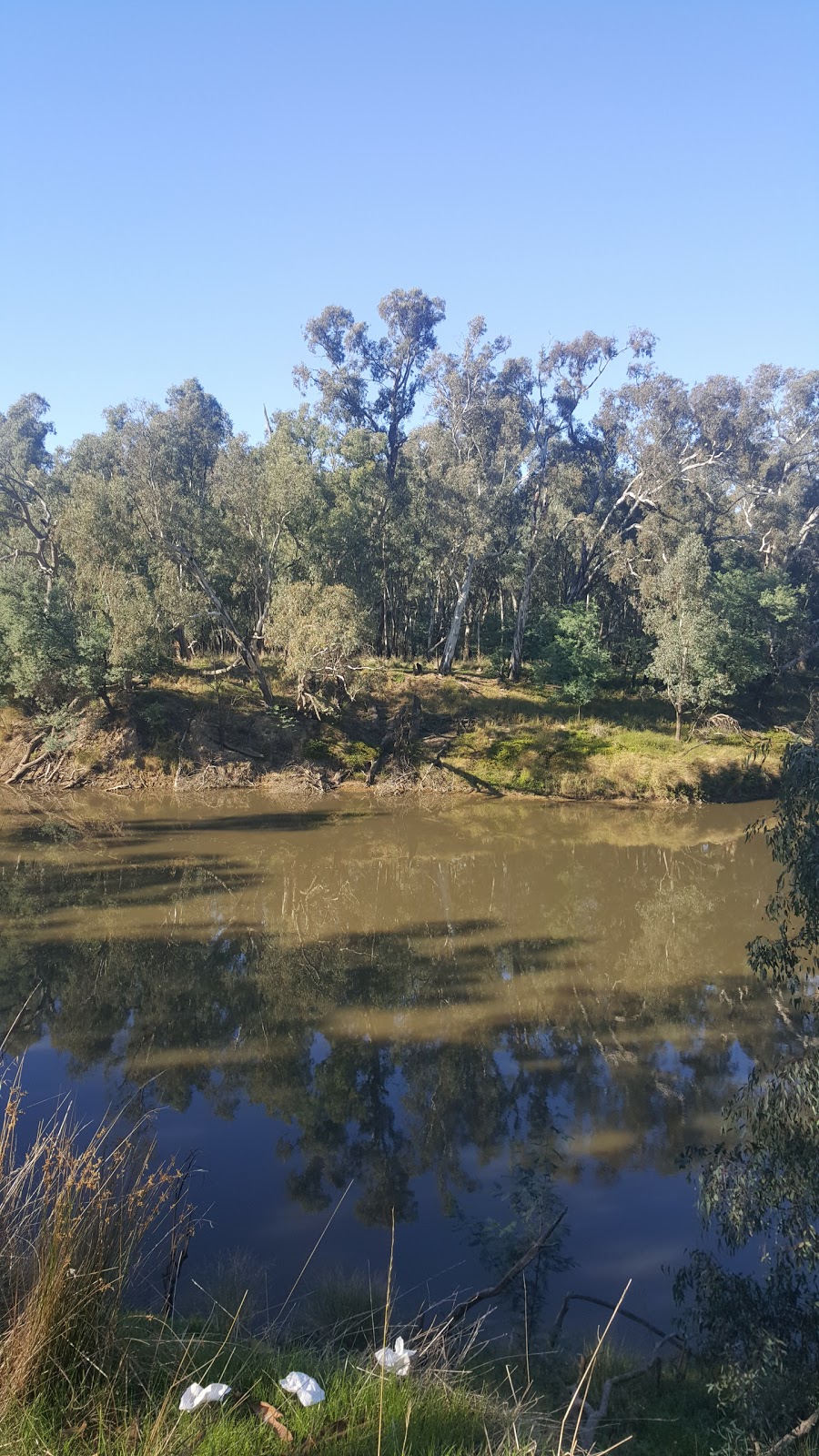 Lower Goulburn National Park | Kotupna VIC 3638, Australia