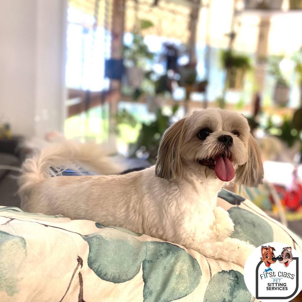 First Class Pet Services | Bushman Dr, Flagstone QLD 4280, Australia | Phone: 1800 738 748