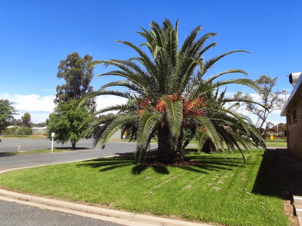 West Wyalong Caravan Park | rv park | 60 Main St, West Wyalong NSW 2671, Australia | 0269723133 OR +61 2 6972 3133