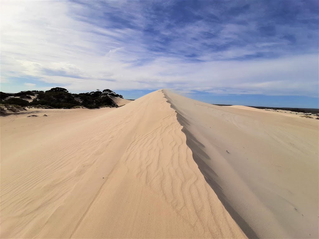 Little Sahara Adventure Centre | tourist attraction | 3733 S Coast Rd, Vivonne Bay SA 5223, Australia | 0885594224 OR +61 8 8559 4224