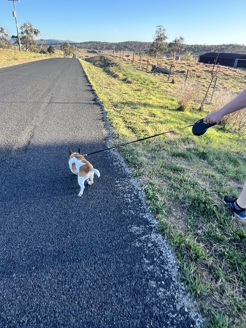 Lisa’s Pet Sitting Services | Towrang Vale Rd, Dairymans Plains NSW 2630, Australia | Phone: 0452 420 178